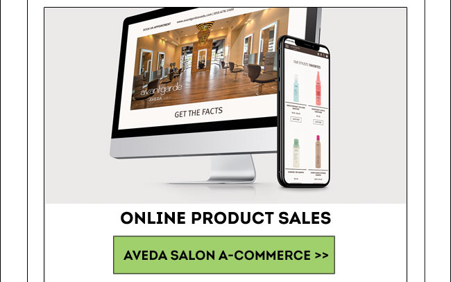 Online Product Sales Aveda Salon A-Commerce>>