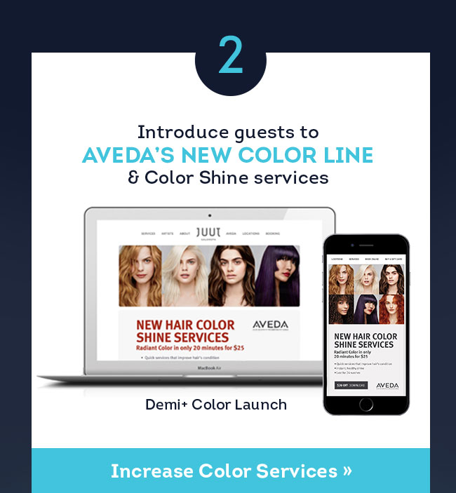 Introduce Guests to AVEDA'S NEW COLOR LINE & Color Shine services | Demi+ Color Launch [Increase Color Services]