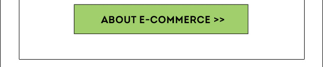 About E-Commerce