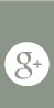 Google Plus