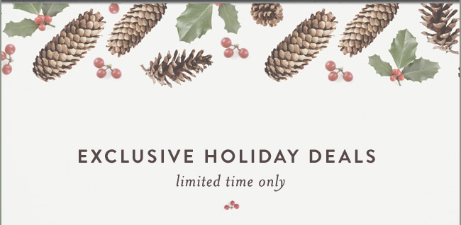 Exclusive Holiday Deals. Limited time only.