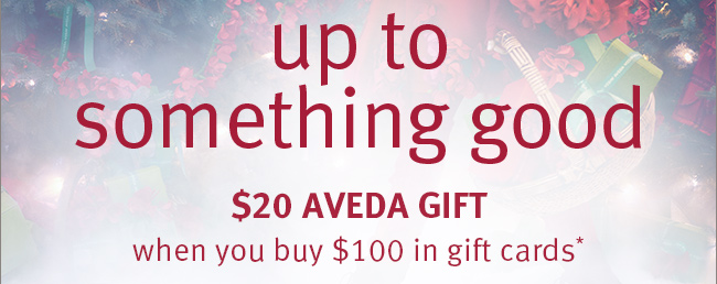 up to something good. $20 AVEDA GIFT when you buy $100 in gift cards*