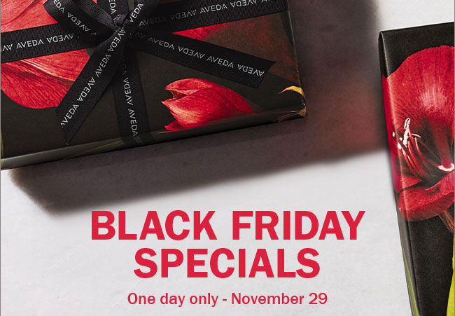 BLACK FRIDAY SPECIALS - One day only - November 29