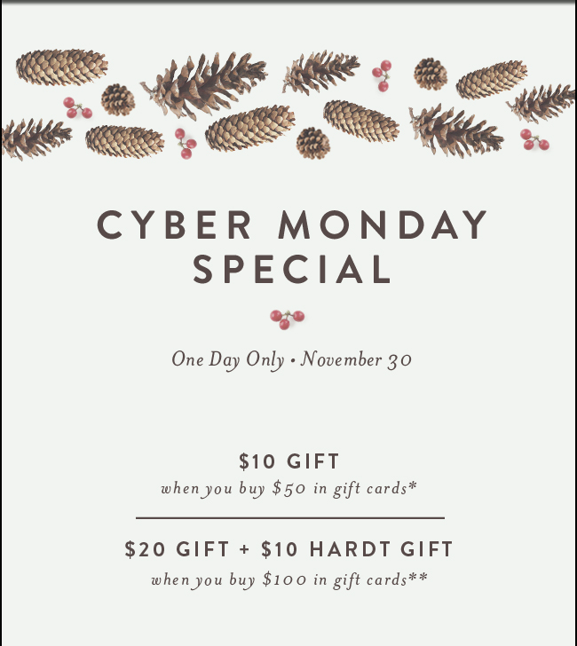 Cyber Monday Special