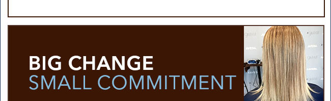 BIG CHANGE SMALL COMMITMENT