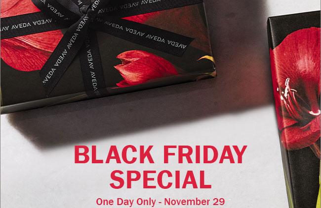 black friday SPECIAL - One Day Only - November 29