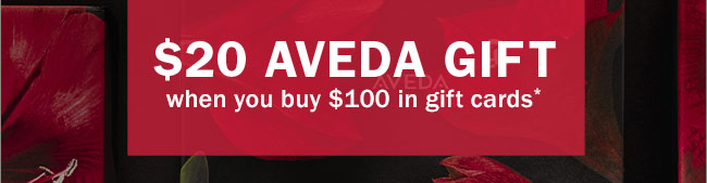 @20 AVEDA GIFT when you buy $100 in gift cards*