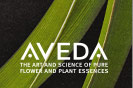 AVEDA