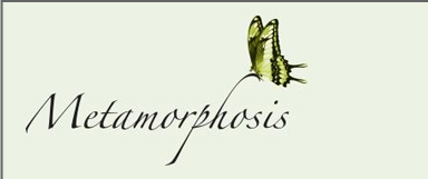 Metamorphosis Logo