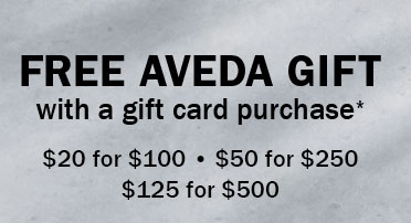 FREE AVEDA GIFT with a gift card purchase* $20 for $100 • $50 for $250  $125 for $500