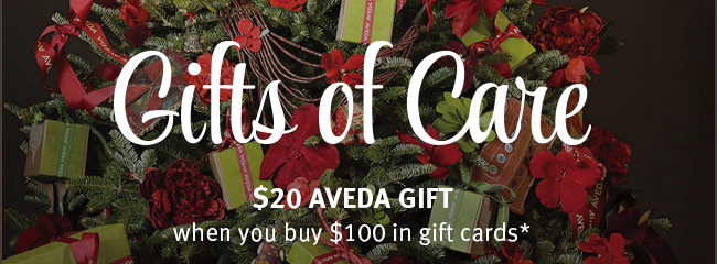 Gifts of Care. $20 Aveda gift when you buy $100 in gift cards.