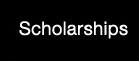 Rizzieri Schools | Scholarships