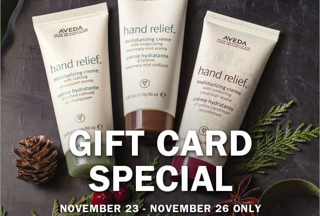 Gift card special: november 23 - november 26 only