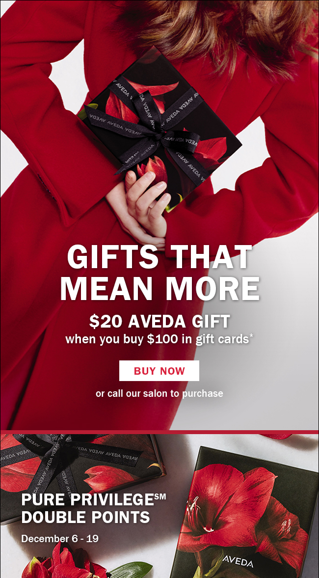 Gifts That Mean More $20 Aveda Gift when you buy $100 in gift cards Buy Now or call our salon to purchase