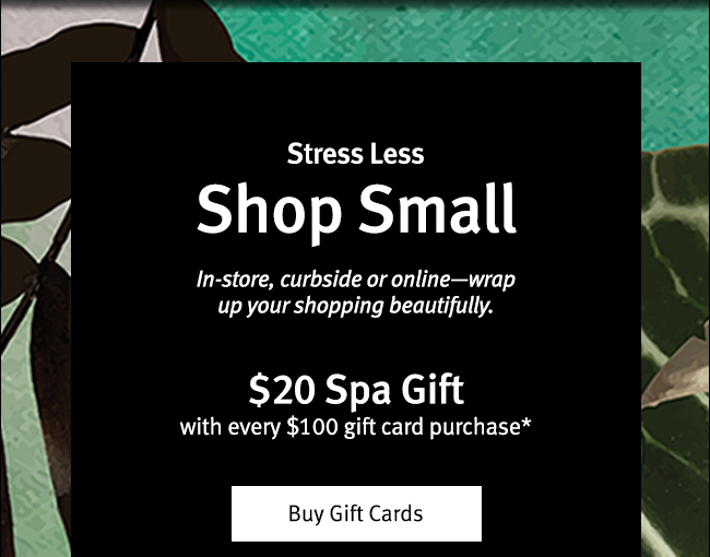 $20 Spa gift with $100 gift card purchase