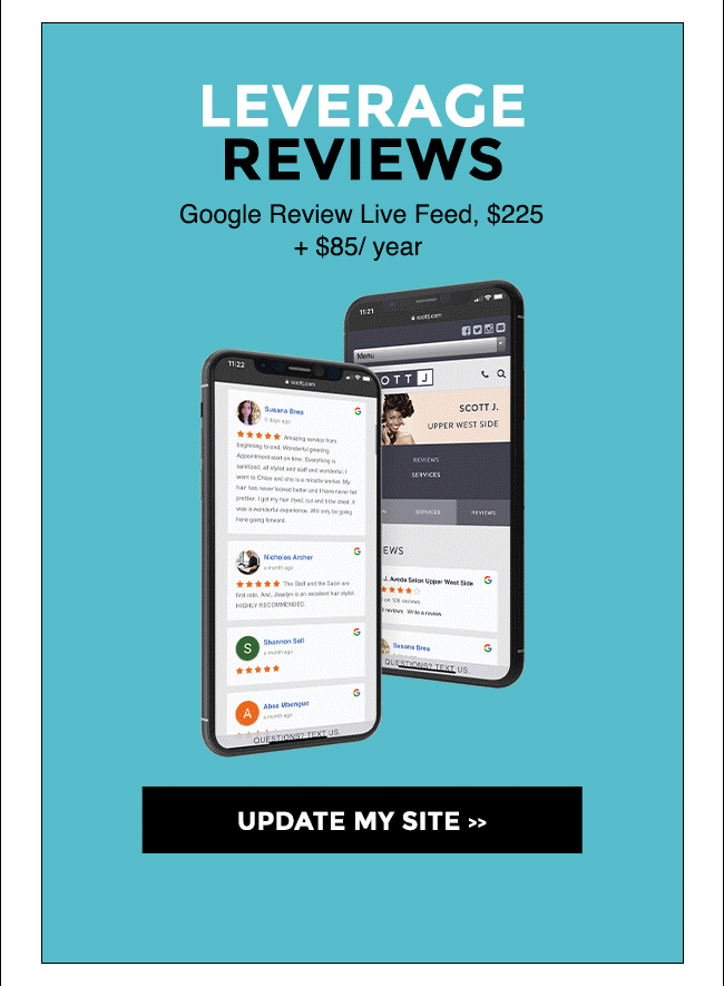 Leverage Reviews - update my site