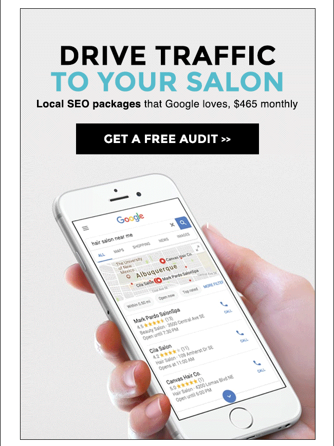 free audit for SEO