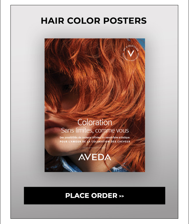 Hair Color Posters - place order