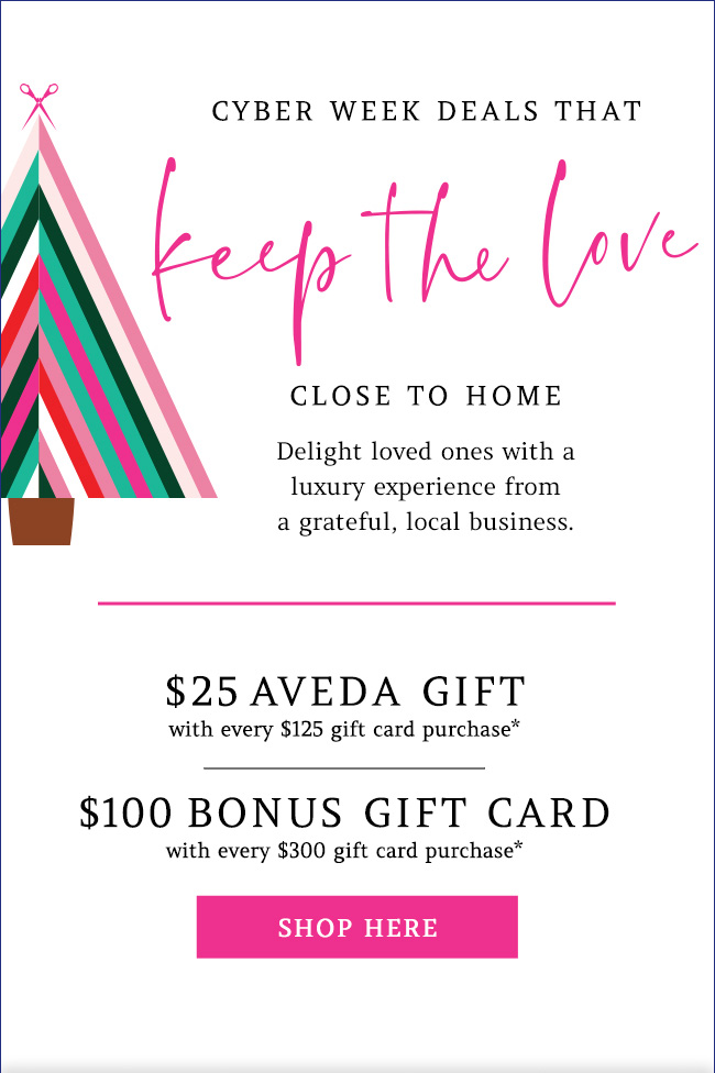 Bonus gift cards with gift card purchase - some restrictions apply