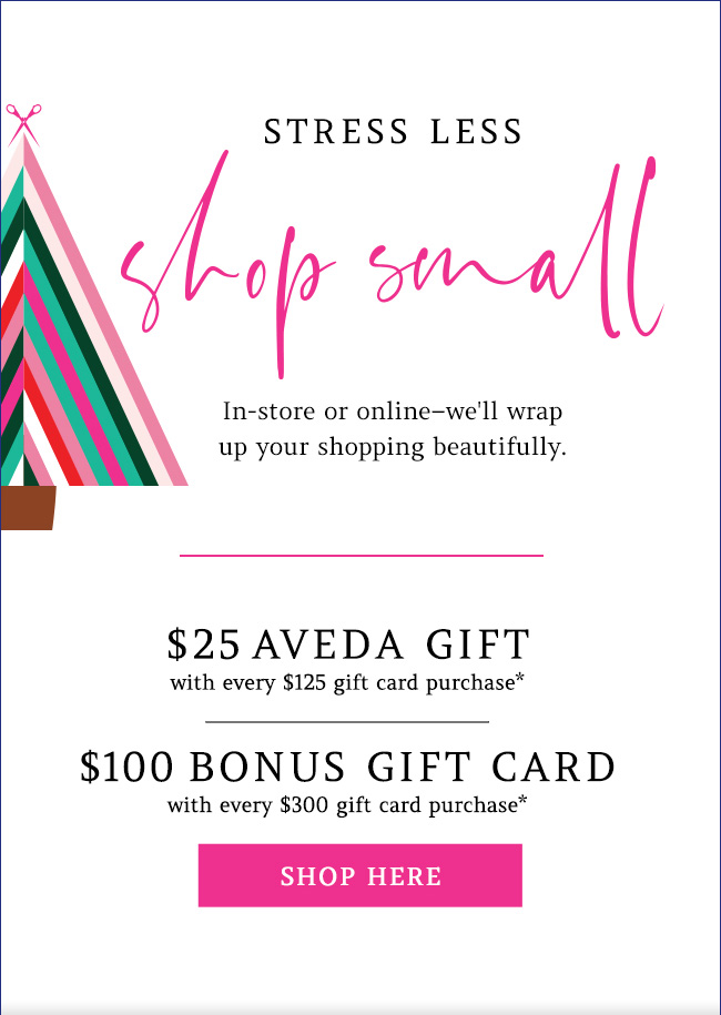 bonus gift cards with gift card purchase - some restrictions apply